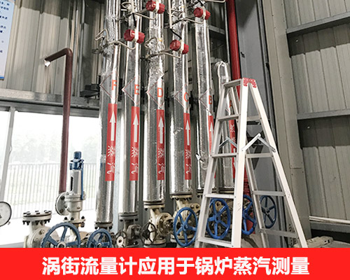 蒸汽流量计的优势